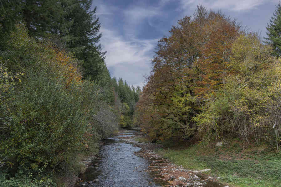 Comunidad Foral de Navarra 030 - Selva de Irati - rio Irati.jpg